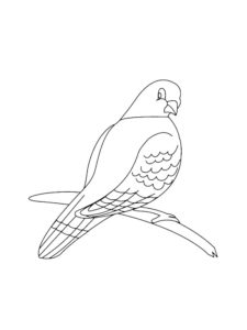 Dove coloring page