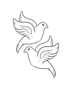 Dove coloring page