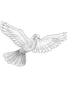 Dove coloring page