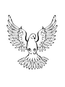 Dove coloring page