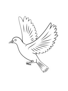 Dove coloring page