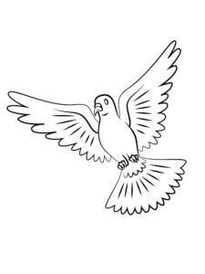 Dove coloring page