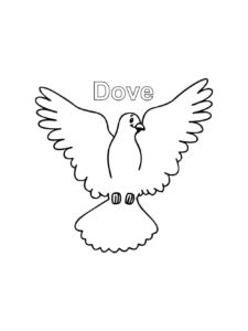 Dove coloring page