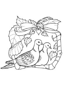 Dove coloring page