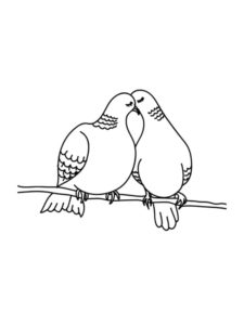 Dove coloring page