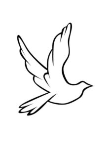 Dove coloring page