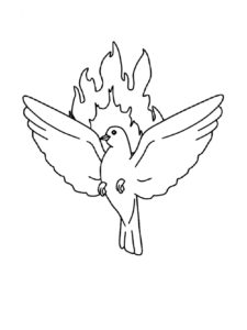 Dove coloring page