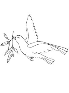 Dove coloring page