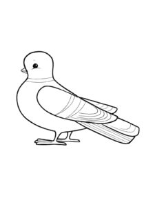 Dove coloring page