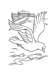 Dove coloring page