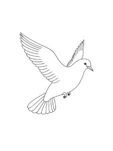 Dove coloring page