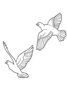 Dove coloring page