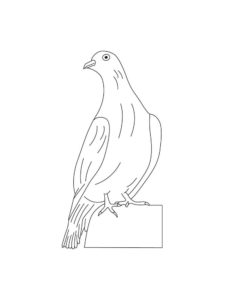 Dove coloring page