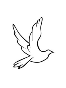 Dove coloring page