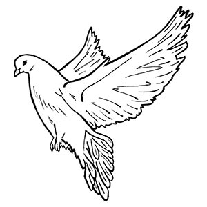 Dove coloring pages