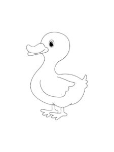 Duck coloring page