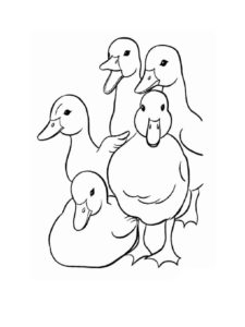 Duck coloring page