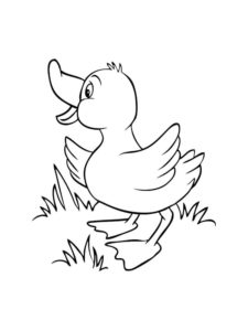 Duck coloring page