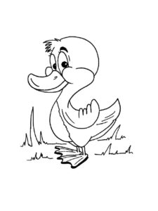 Duck coloring page