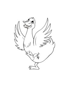 Duck coloring page