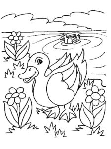 Duck coloring page