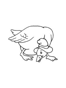 Duck coloring page