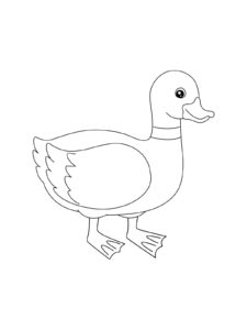 Duck coloring page