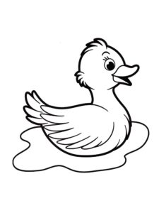 Duck coloring page