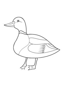 Duck coloring page