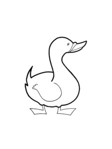 Duck coloring page