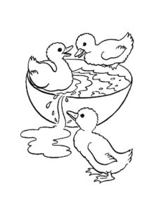 Duck coloring page