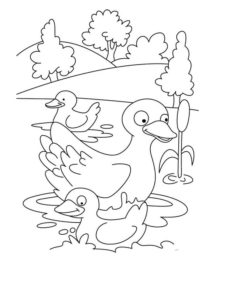 Duck coloring page