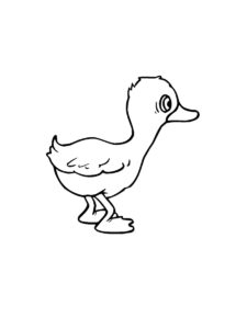 Duckling coloring page