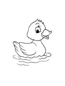 Duckling coloring page