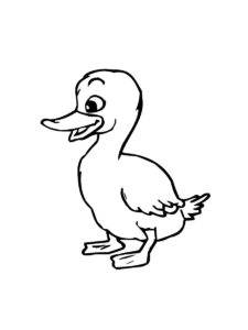 Duckling coloring page