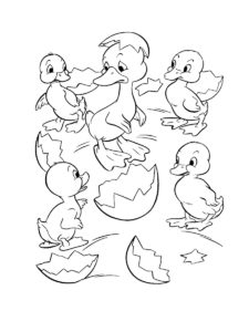 Duckling coloring page