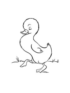 Duckling coloring page