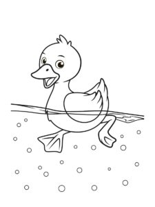 Duckling coloring page