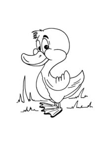 Duckling coloring page