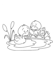 Duckling coloring page