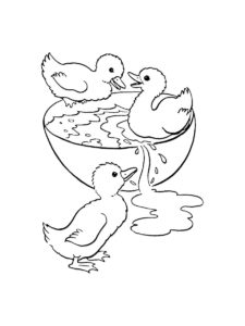 Duckling coloring page