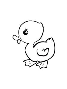 Duckling coloring page