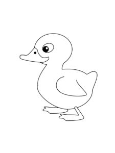 Duckling coloring page