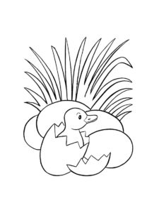 Duckling coloring page