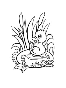 Duckling coloring page