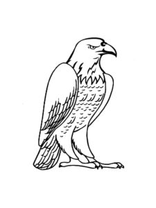 Eagle coloring page