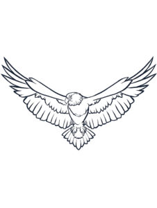 Eagle coloring page