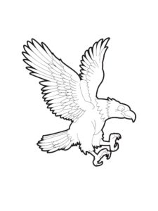 Eagle coloring page