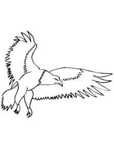 Eagle coloring page