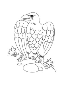 Eagle coloring page